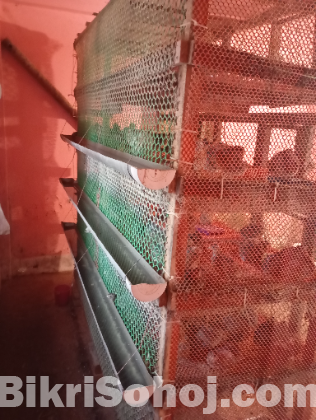 কোয়েল পাখির খাঁচা